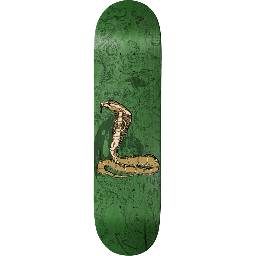 Baker Beasley Piranhaconda Deck - 8.25